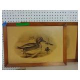 2- Duck Prints - Green Teal & Canvas Back