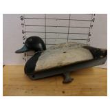 Duck Decoy