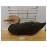 Duck Decoy