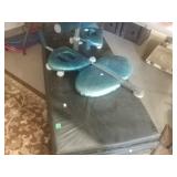 Total Tiger Exercise Equipment?