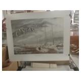 Birds At Deal Island