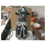 Pirate Dog Decoration