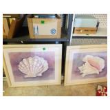 Two Shell Pictures