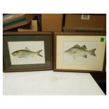 Two Fish Pictures