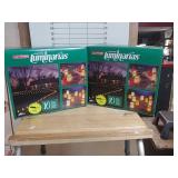 Christmas Driveway Lights