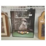 Dog Playing Pool Picture