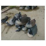 8 Goose Decoys Solid Bodies