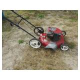 Briggs & Stratton Push Mower