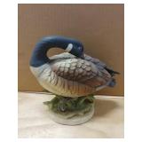 Lto Edition Napco Canada Goose