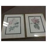 Flower Paintings