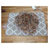 48" x 30" Rug and Beanbag