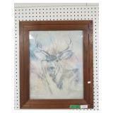 Whitetail Buck Drawing