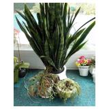 Set of 3 matching pottery flower pots - Blue