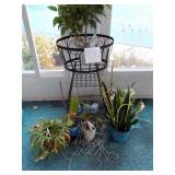 Lot of plants with Metal Plant Stand