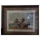 Duck Picture Framed