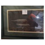 Duck Picture Framed