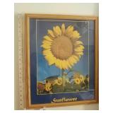 Sunflower framed picture
