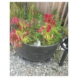 Iron couldren pot planter