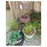 Decorative out house chair with two plants and