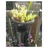 3 wire hanging baskets with three plants