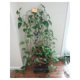 Plant stand