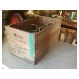 Seabrook farms box with very old christmas lights