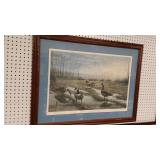 "Flooded field" duck picture