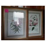 2 Gold Framed Flower Prints