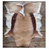 Springbok deer hide. 28x26