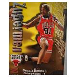 1997 Dennis Rodman Skybox Z Force #192