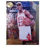 1995 Michael Jordan SP Championship JC22