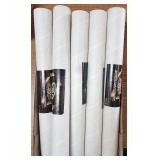5 VTG Unsearched Nas Car Posters In Org Boxes