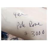 5 1978 Pete Rose #3000 Hits Posters 2 are signed