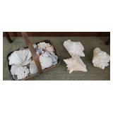 LG VTG Basket Full Of Sea Shells