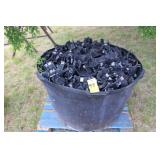 Large Lot Assort. Tree Collars