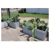 (2) Custom Cactus Planters Approx 4
