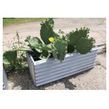 (2) Custom Cactus Planters Approx 4