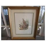 Chukar Partridges Print In Frame 22" x 18 1/2"