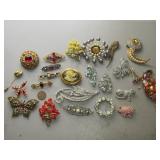 Costume Jewelry Pins