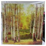 Birch Tree Painting 36" x 36"