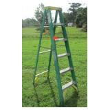 Werner Ladder 6