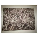 Large Root Print On Canvas 42" x 60"