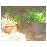 2 Plant Pots Left Ceramic 12" T