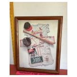 Cardinals Framed Print
