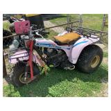 Kawasaki 250 Prairie