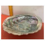 Abalone Shell