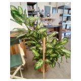 Faux Large Leaf Floor Plant in basket