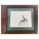 Giraffes Framed & Matted Signed Print