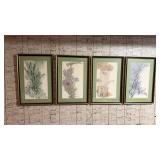 4 Framed & Matted Botanical Floral Prints