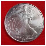 2004 American Silver Eagle 1oz. Fine Silver Coin